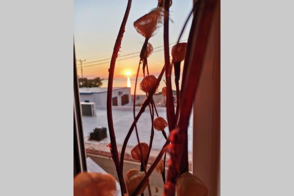 Appartement Mar Azul Σπίτι Δίπλα Στην Παραλία Και Στο Κέντρο! à Élaphonèse Extérieur photo